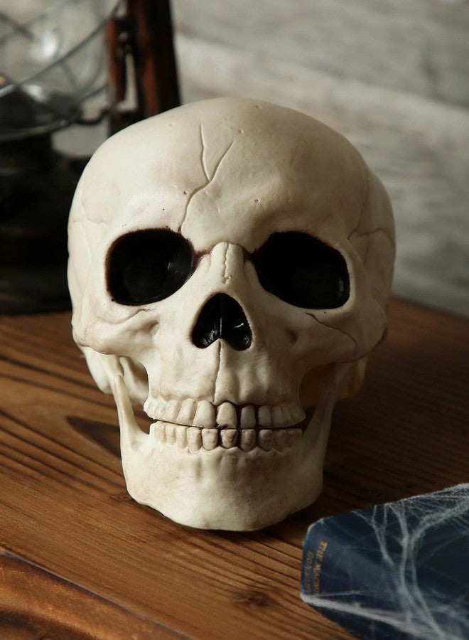 Crazy Bonez Skeleton Skull - Image 4